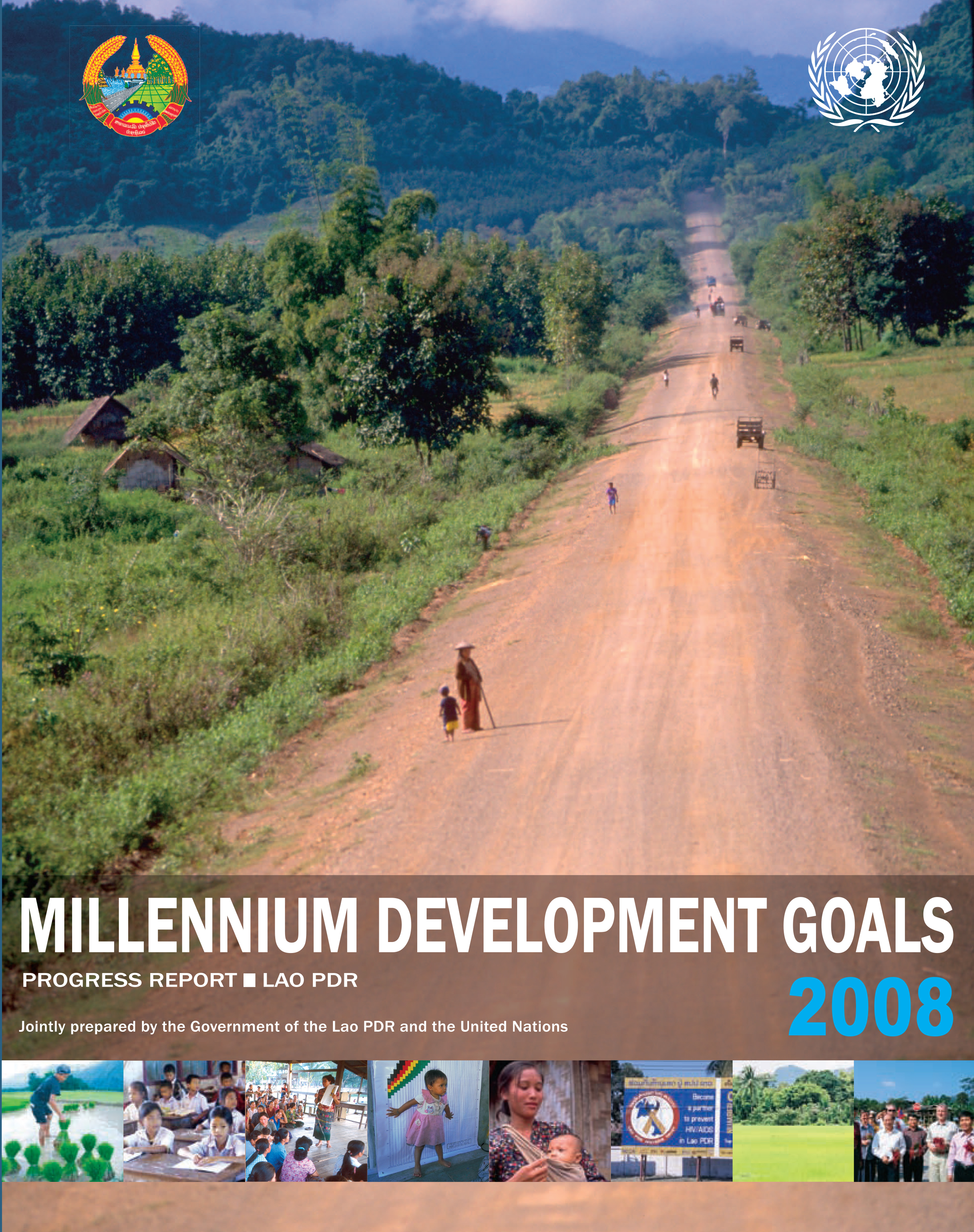 2008 MDGs Progress Report - Cover