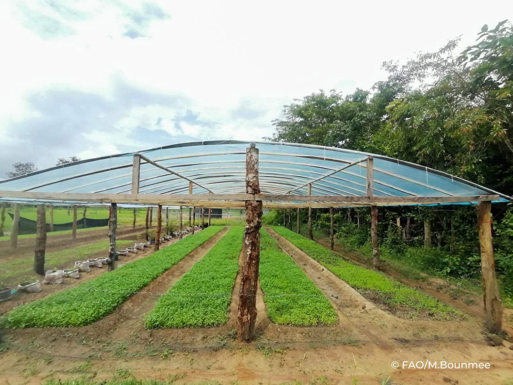 Greenhouse