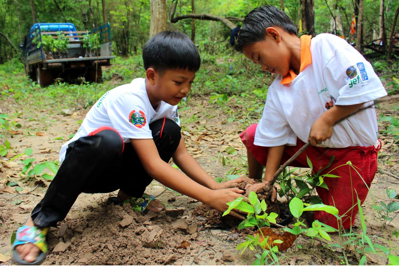 Planting trees help to reduce climate change