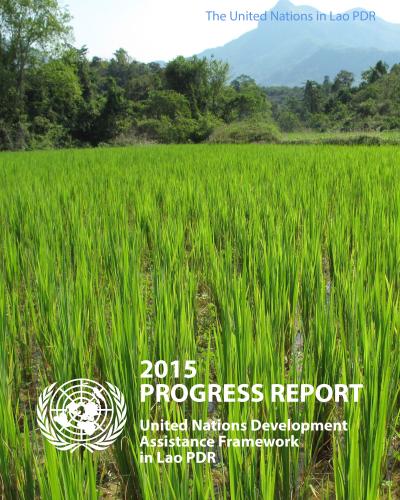 2015 UNDAF Progress Report - Cover