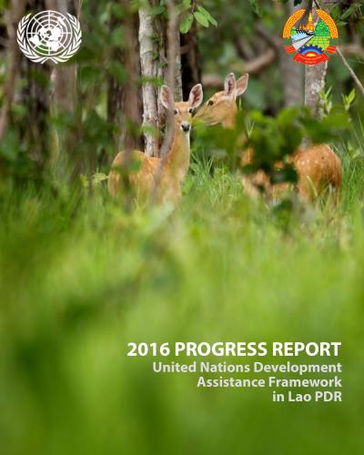 2016 UNPF Progress Report - Cover