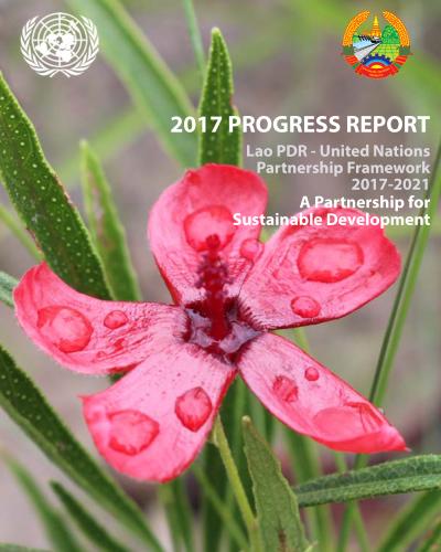 2017 UNPF Progress Report - Cover