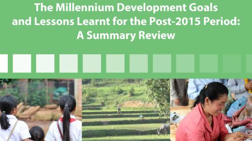 2015 MDGs Lessons Learned - Cover