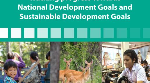 2017 Tracking Progress Towards National Development - Cover