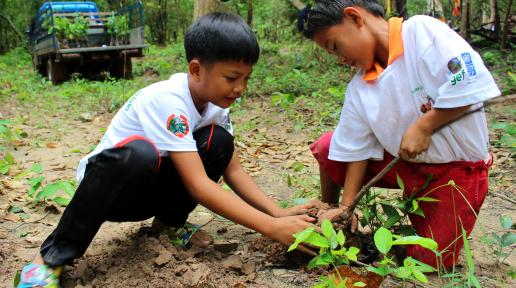 Planting trees help to reduce climate change